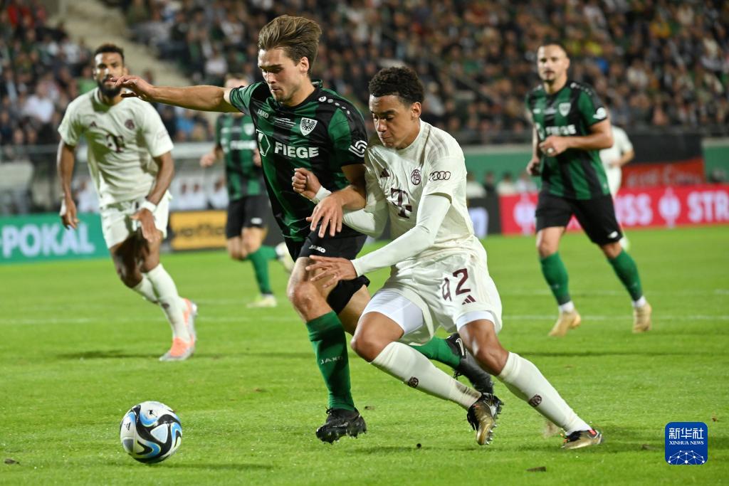 博彩运营商赞助野生动物保护