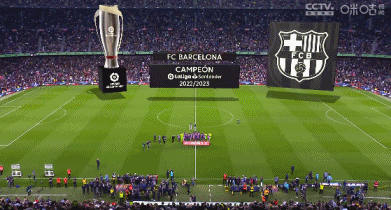 维卡里奥告别孙兴慜：不折不扣的传奇，祝你未来一切顺利